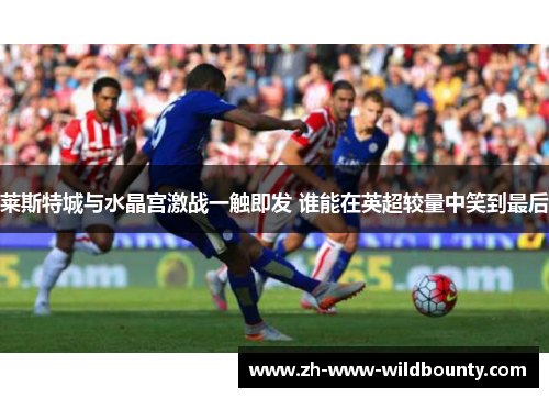 莱斯特城与水晶宫激战一触即发 谁能在英超较量中笑到最后