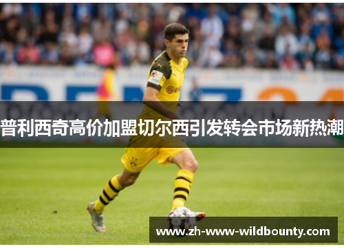 普利西奇高价加盟切尔西引发转会市场新热潮 普利西奇高价加盟切尔西引发转会市场新热潮