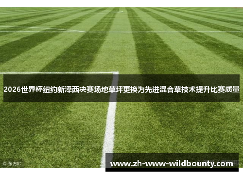 2026世界杯纽约新泽西决赛场地草坪更换为先进混合草技术提升比赛质量