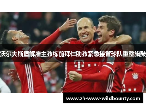 沃尔夫斯堡解雇主教练前拜仁助教紧急接管球队重整旗鼓