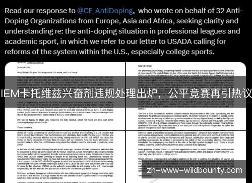 IEM卡托维兹兴奋剂违规处理出炉，公平竞赛再引热议
